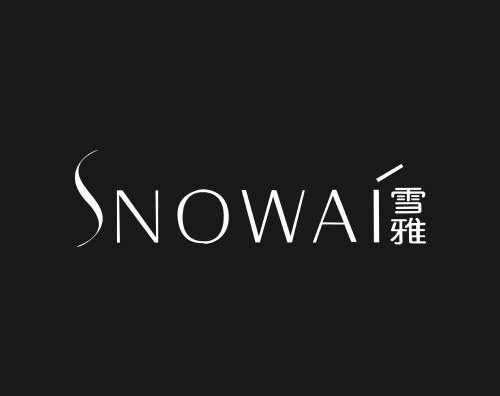 雪雅化妝品打造全新高端官網(wǎng)